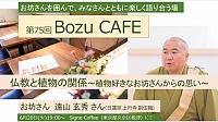 第75回Bozu CAFE 開催のお知らせ
